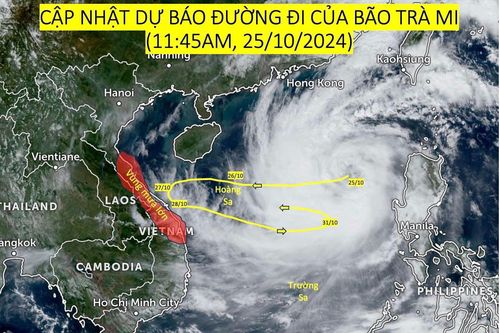Yêu cầu các tỉnh ven biển chuẩn bị sẵn sàng lực lượng ứng phó với bão Trà Mi