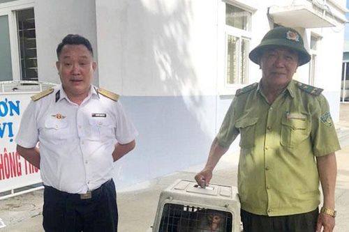 Thả 'Ngộ Không' về 'Hoa Quả sơn'