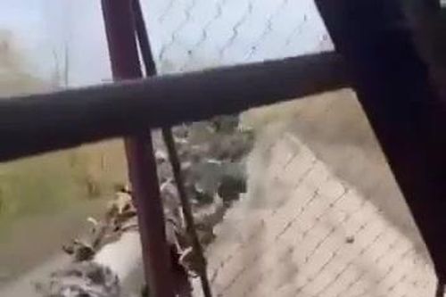 Lính Ukraine phấn khích khoe video bắt sống tăng T-90S của Nga
