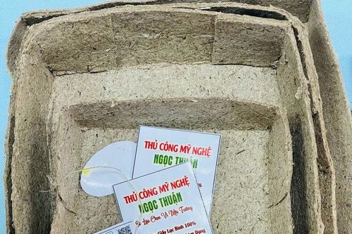 Sản xuất chén, dĩa từ lục bình