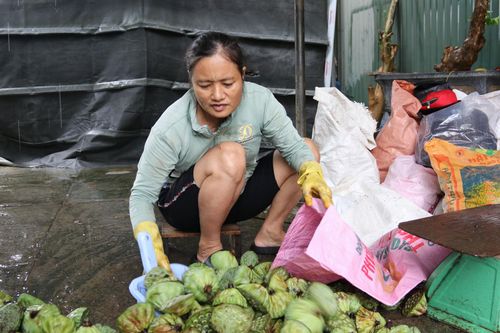 Thêm thu nhập với nghề bóc vỏ hạt sen