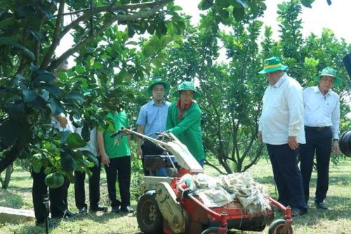 Đoàn công tác Hội Tiểu nông Cuba thăm và khảo sát mô hình sản xuất nông nghiệp của Đồng Nai