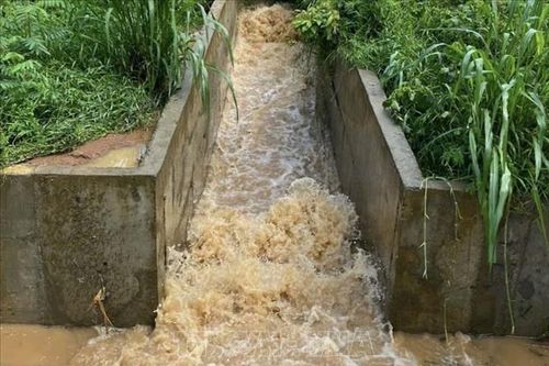 Người dân mong muốn trang trại bò sữa thực hiện đúng cam kết về môi trường
