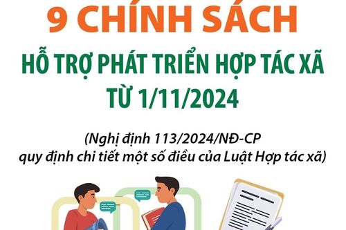 9 chính sách hỗ trợ phát triển hợp tác xã từ 1/11