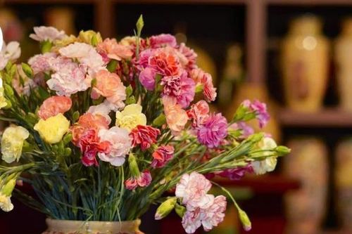 Ngồi xuống uống một chén trà