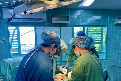 Người đàn ông bị cành cây đâm xuyên hàm khi đang dọn vườn