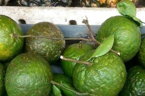 Tiêu dùng trong tuần (27/10-2/11/2024): Cam sành, bưởi Soi Hà, na sầu riêng... giá giảm mạnh