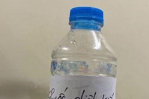 Ngộ độc do tự pha nhầm thuốc diệt kiến để uống