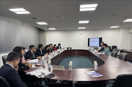 Trao đổi lý luận, chia sẻ kinh nghiệm về khoa học hành chính giữa Việt Nam và Nhật Bản