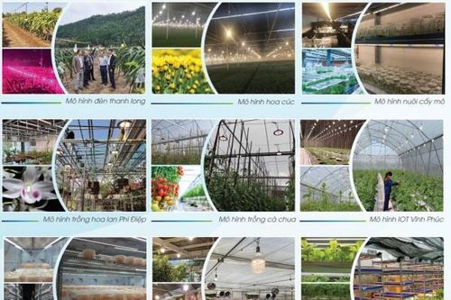 Rạng Đông - Ứng dụng năng lượng mặt trời trong sản xuất nông nghiệp