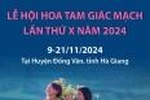 Tối nay 9/11, khai mạc Lễ hội hoa tam giác mạch - Miền hoa thương nhớ