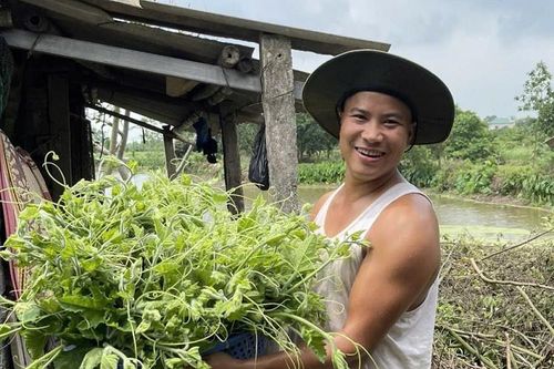 Bỏ việc nghìn đô về nuôi con 'một vốn bốn lời', thu hơn nửa tỷ đồng/năm