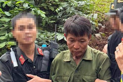 Khởi tố, tạm giam đối tượng giết người do mâu thuẫn khi mua bán cây ở Hòa Bình