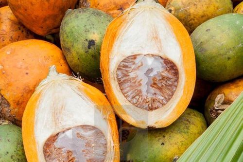 Những lợi ích tuyệt vời của quả cau
