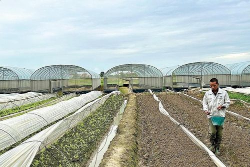 Cách hỗ trợ từ gốc cho sản xuất nông nghiệp