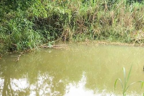 Rơi xuống ao nhà, cháu bé 2 tuổi đuối nước tử vong