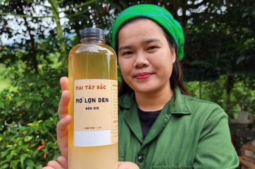 Chủ hộ kinh doanh Mai Tây Bắc được nhận giải thưởng Lương Định Của