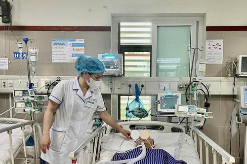 Người đàn ông 39 tuổi ở Lạng Sơn nguy kịch sau bữa cơm tối do ngộ độc với món ăn tự nấu