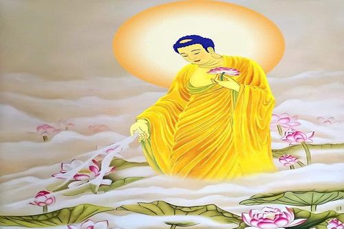Kinh Phật thuyết A Di Đà tóm lược (P.1)
