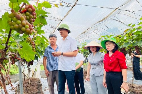 Hiệu quả sản xuất từ Diễn đàn Khuyến nông@