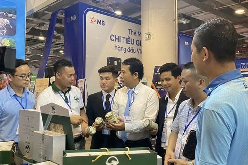 Hòa Bình hướng tới nền nông nghiệp sạch chất lượng cao