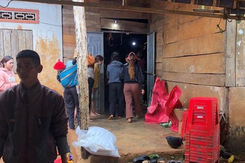 Tự nấu thịt cóc để ăn, bé trai 11 tuổi tử vong, em gái nhập viện cấp cứu