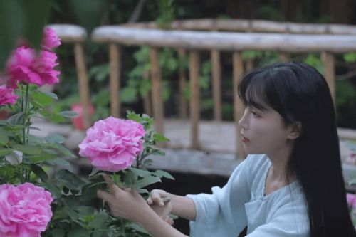 'Tiên nữ đồng quê' Lý Tử Thất ở ấn hơn 1.200 ngày vẫn không bị lãng quên