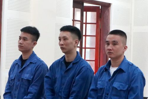 Anh em họ cùng ngồi tù vì ma túy