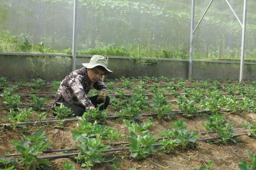 Bắc Kạn: Chuyển đổi số hướng tới xây dựng nông thôn mới thông minh