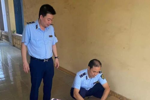 Nam Định: Tạm giữ 1.200 sản phẩm mỹ phẩm không rõ nguồn gốc, xuất xứ