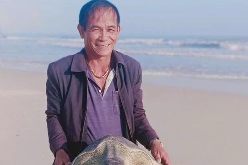 Cứu hộ và thả rùa xanh bị mắc lưới về biển