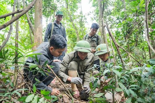 Bảo vệ động vật hoang dã trên dãy Trường Sơn: 'Biệt đội' giải cứu thú rừng