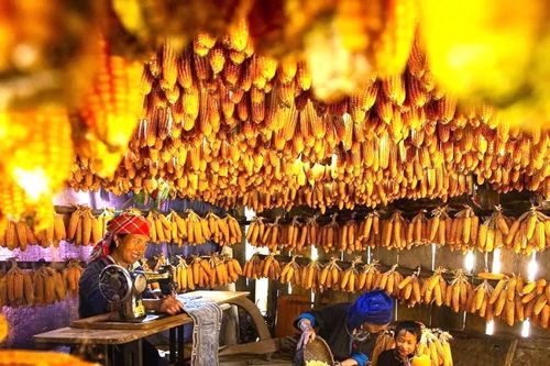 Khách quốc tế đến Việt Nam tăng 41%