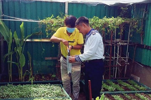 Chuyện 'khám bệnh' cho đất của Phân bón Cà Mau