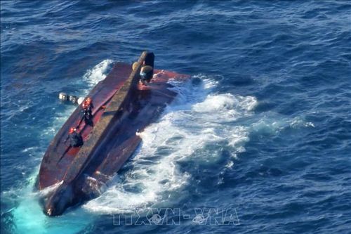 Hàn Quốc thông tin về thương vong trong vụ lật tàu cá