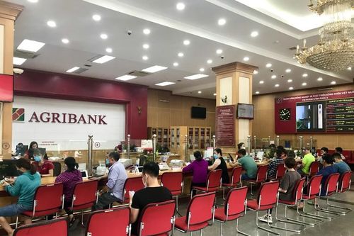 Agribank: Tín dụng tăng hơn 9% sau 11 tháng năm 2024