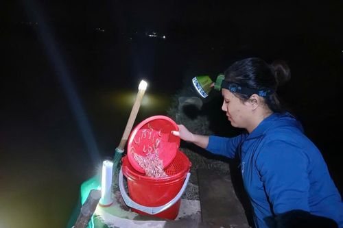 Soi đèn ra đồng vớt lộc trời