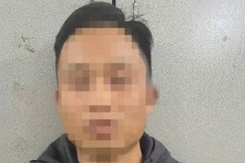 Nam thanh niên lừa mua lợn trên mạng rồi chiếm đoạt tiền đặt cọc