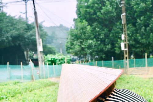 Gieo mầm xanh, ươm 'no ấm'