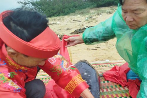 Xác cá voi dạt vào bờ