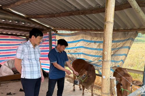Hỗ trợ sinh kế giúp người dân thoát nghèo