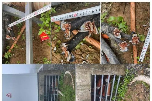 Bắt 2 thanh thiếu niên chuyên trộm dây cáp tại dự án điện gió