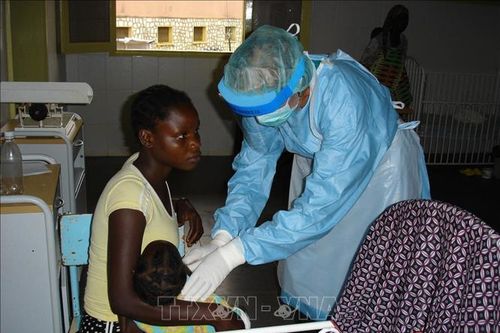 Rwanda tuyên bố kết thúc đợt bùng phát virus Marburg