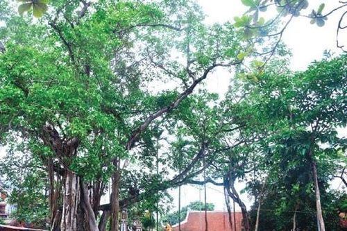 Huyện Ứng Hòa thêm 3 di tích lịch sử, văn hóa được xếp hạng cấp thành phố