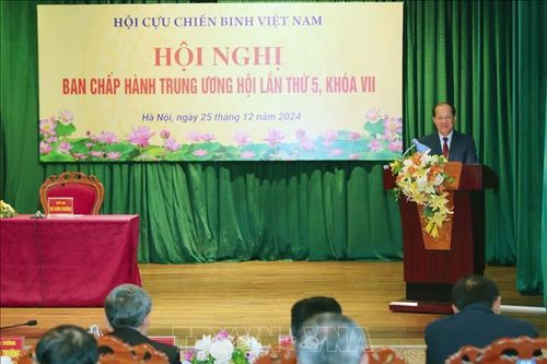 Xây dựng Hội Cựu chiến binh Việt Nam vững mạnh về chính trị, tư tưởng trong giai đoạn mới