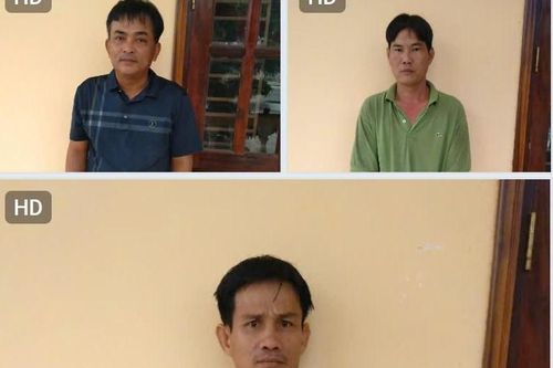 Phá đường dây vận chuyển heo lậu quy mô cực lớn từ Campuchia