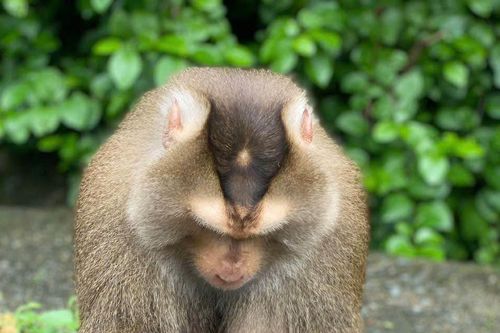 Làm sao dọn sạch 'hàm của quỷ'?