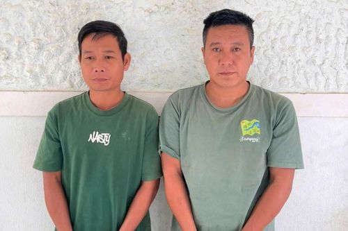 Cái giá của thói côn đồ