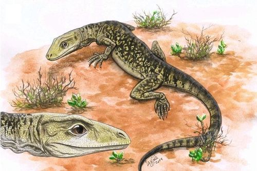 Tìm thấy hóa thạch bò sát 205 triệu tuổi, lịch sử phải viết lại