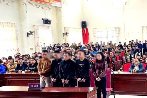 Phạt tù nhóm đối tượng mạo danh nhân viên tổng đài để lừa đảo